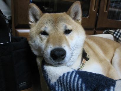 ���т����̂܂�������L�B