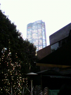 ���т����̂܂�������L�B