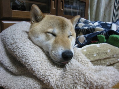 ���т����̂܂�������L�B