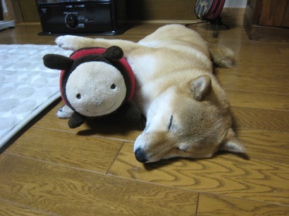 ���т����̂܂�������L�B