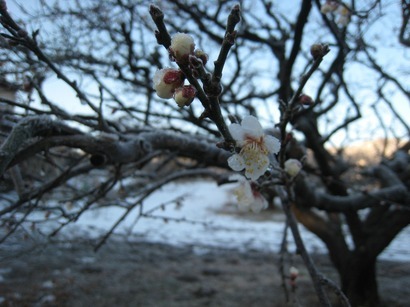 ���т����̂܂�������L�B