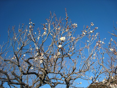 ���т����̂܂�������L�B