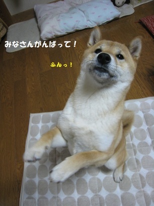 ���т����̂܂�������L�B