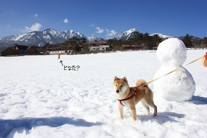 ���т����̂܂�������L�B