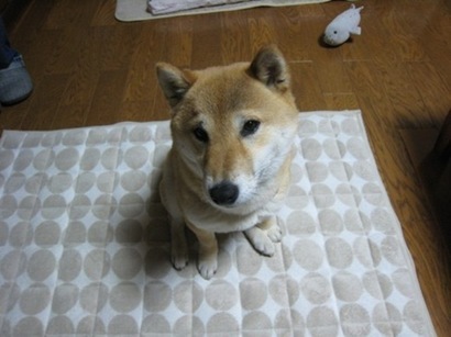 ���т����̂܂�������L�B