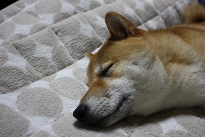 ���т����̂܂�������L�B