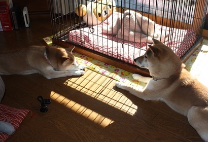 ���т����̂܂�������L�B