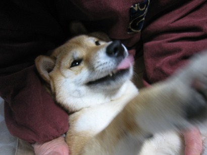 ���т����̂܂�������L�B