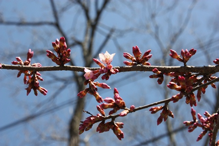 ���т����̂܂�������L�B