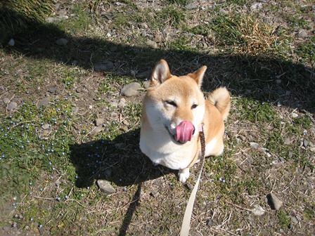 ���т����̂܂�������L�B