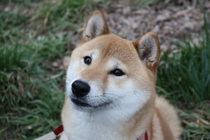 ���т����̂܂�������L�B