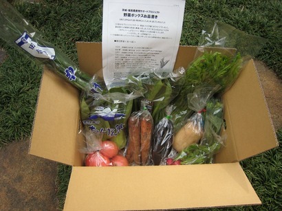 ���т����̂܂�������L�B