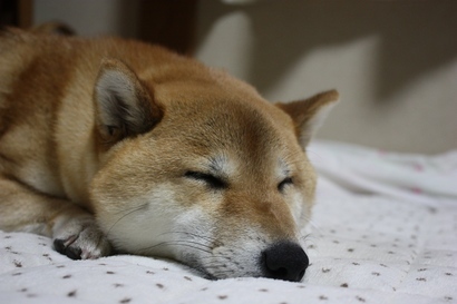 ���т����̂܂�������L�B