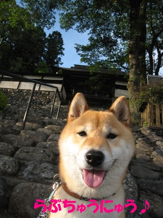 ���т����̂܂�������L�B