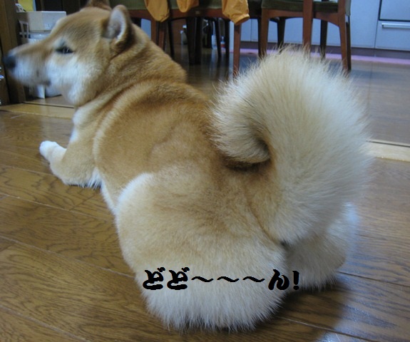 ���т����̂܂�������L�B