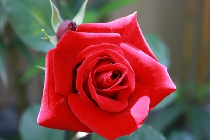 ���т����̂܂�������L�B