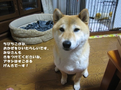 ���т����̂܂�������L�B