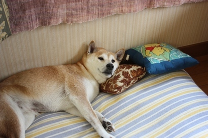 ���т����̂܂�������L�B