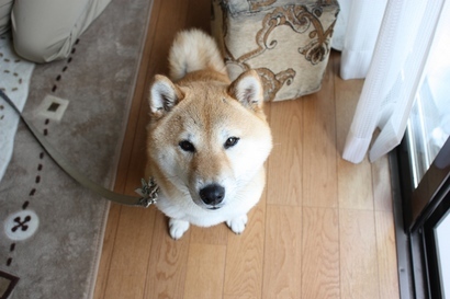 ���т����̂܂�������L�B