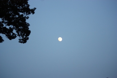 ���т����̂܂�������L�B