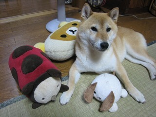 ���т����̂܂�������L�B