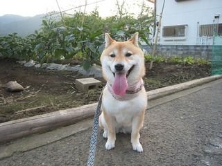 ���т����̂܂�������L�B