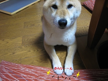 ���т����̂܂�������L�B