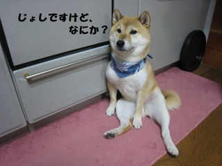 ���т����̂܂�������L�B