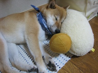 ���т����̂܂�������L�B