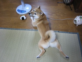 ���т����̂܂�������L�B