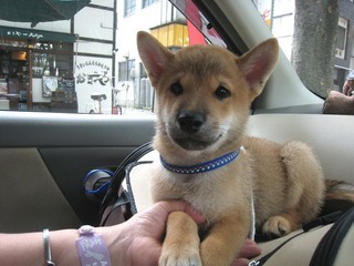 ���т����̂܂�������L�B