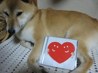 ���т����̂܂�������L�B