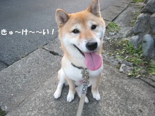 ���т����̂܂�������L�B