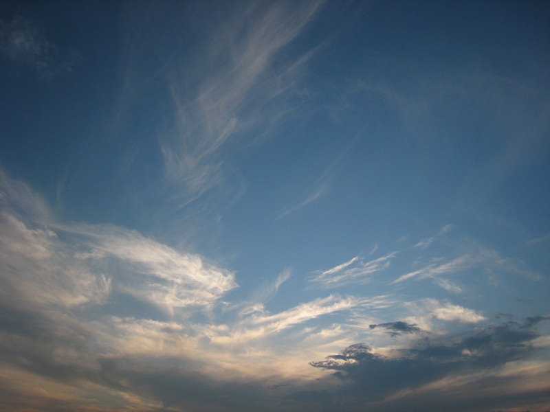 ���т����̂܂�������L�B