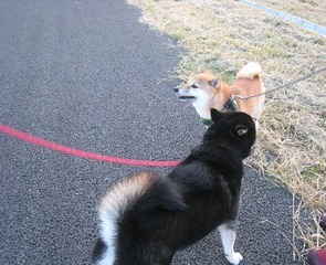 ���т����̂܂�������L�B