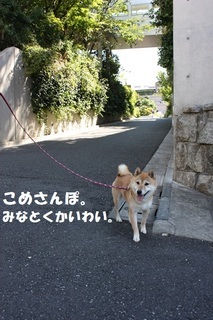 ���т����̂܂�������L�B