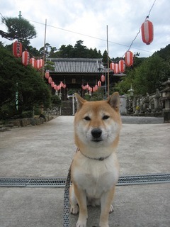 ���т����̂܂�������L�B