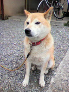 ���т����̂܂�������L�B