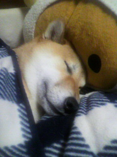 ���т����̂܂�������L�B