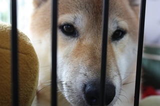 ���т����̂܂�������L�B