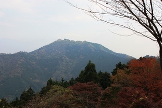 ���т����̂܂�������L�B