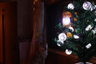 ���т����̂܂�������L�B