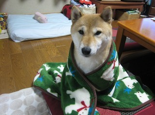 ���т����̂܂�������L�B