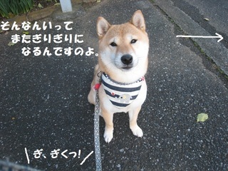 ���т����̂܂�������L�B