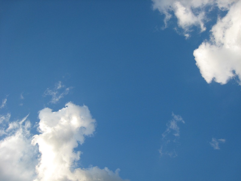 ���т����̂܂�������L�B