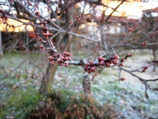 ���т����̂܂�������L�B