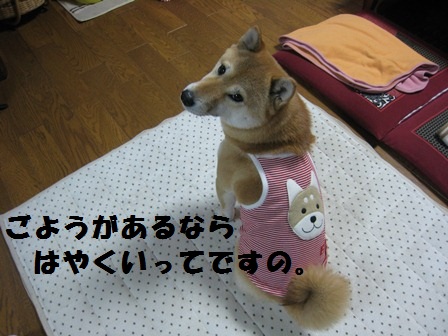 ���т����̂܂�������L�B