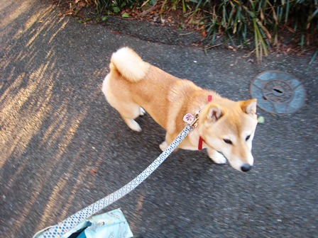 ���т����̂܂�������L�B