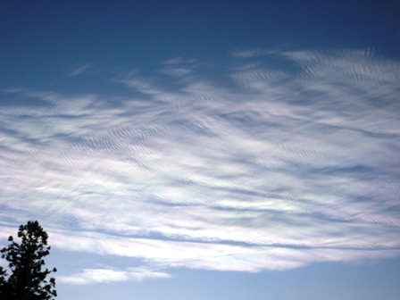 ���т����̂܂�������L�B