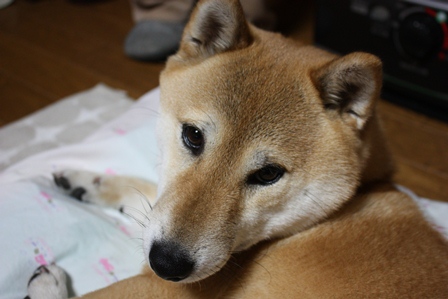 ���т����̂܂�������L�B